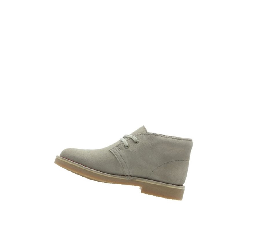 Botas De Desierto Clarks Iconic Embossed Gamuza Niña Beige | ZQEG-87290