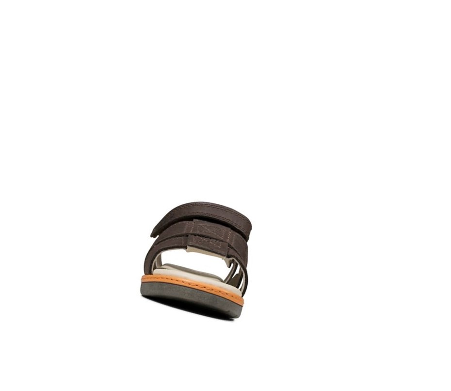 Sandalias Casuales Clarks Frances Tor Cuero Niño Marrones | JFHW-87254