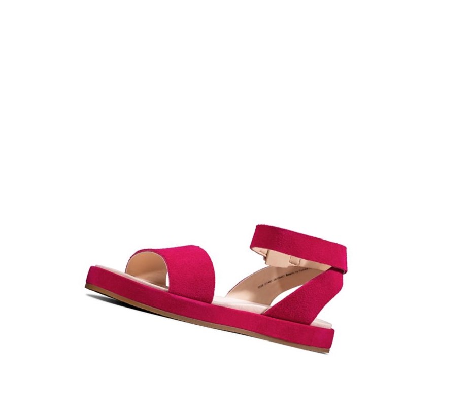 Sandalias Planas Clarks Botanic Ivy Gamuza Mujer Fucsia | HXUI-47921