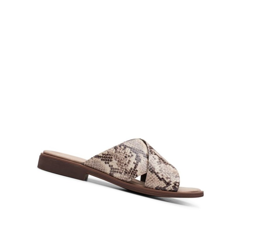 Sandalias de Diapositivas Clarks Declan Ivy Mujer Beige Serpent | RKEM-40682