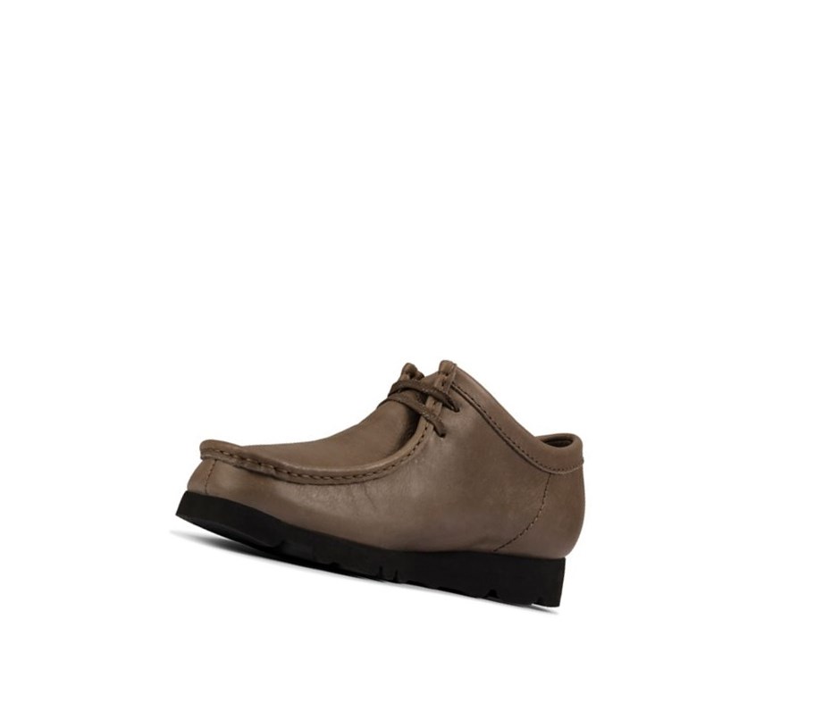 Wallabee Clarks Gore-tex Cuero Hombre Verde Oliva | MKBC-02746