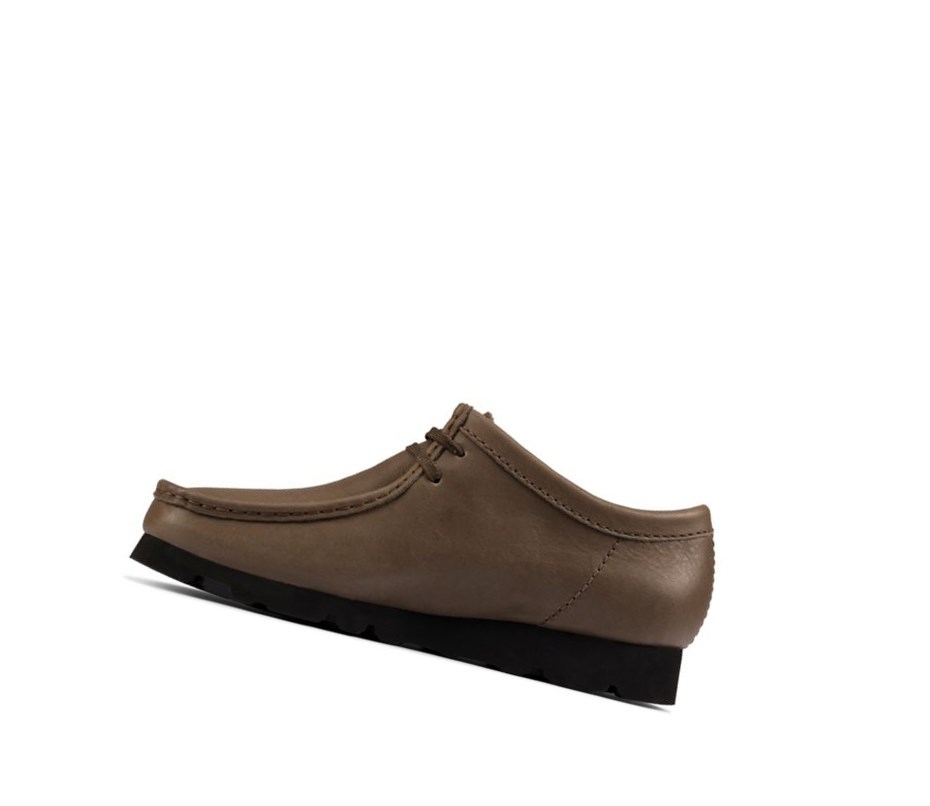 Wallabee Clarks Gore-tex Cuero Hombre Verde Oliva | MKBC-02746